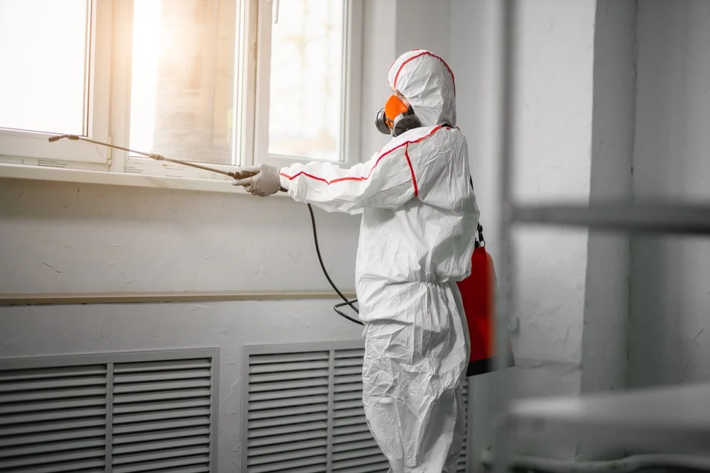 Professional mold remediation services in Stratham, NH